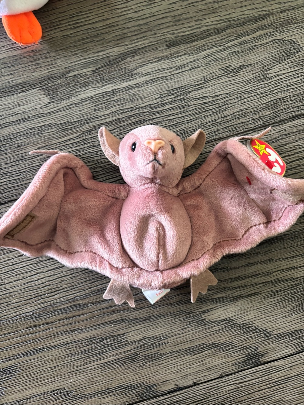 Bat Beanie baby 🦇🍂